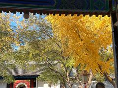-北京国子监胡同