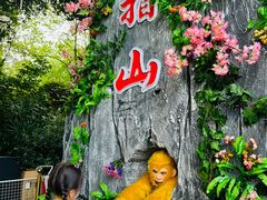 -南湖梦幻岛