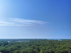 -北海金海湾红树林生态旅游区