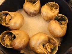 -金蜗牛