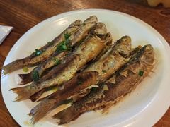 香煎马头鱼-和记菜馆