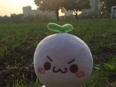 -新励成演讲口才培训(无锡梁溪学训中心)