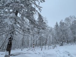-大秃顶子山