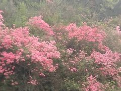-木兰云雾山