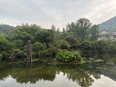 -青花餐厅(雅谷泉山庄酒店)