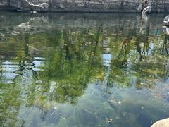-济南大明湖景区