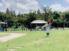 -季高兔窝窝亲子园(上海薰衣草公园店)