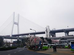 -上海南浦大桥长途旅游客运站