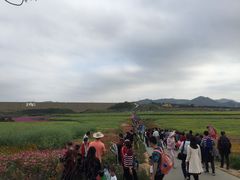 -光明小镇欢乐田园