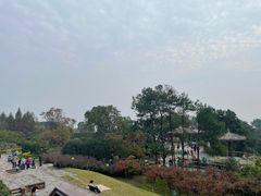 -铁山坪森林公园