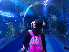 -皇家极地海洋世界-售票处