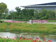 -春花秋色城市公园