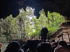 -怀托摩萤火虫洞