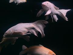 -福州罗源湾海洋世界旅游区