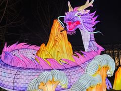 -武汉园博园(武汉自然博物馆)