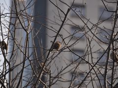 -星光摄影器材城