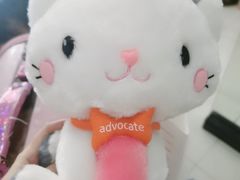 -创凡宠物医院·骨专科  猫科中心(西乡分院)