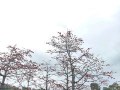 -禄福山庄•顺德菜·融和菜(龙江店)