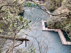 -祁门牯牛降观音堂风景区