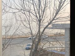 -了不起的考拉咖啡店(高新店)