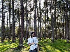 -硗碛藏寨·神木垒景区