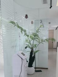 -碧莲盛·脱发养发中心