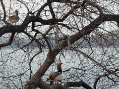 -颐和园
