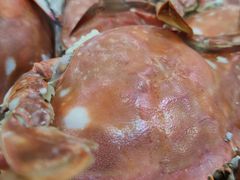 -聚德福海鲜家常菜(刘庄店)