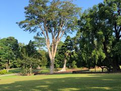 -老伴豆花(麦士威熟食中心店)