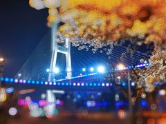 -上海南浦大桥长途旅游客运站