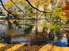 -北海道厅旧本厅舍(旧本庁舎)