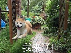 -老乡村(南湖路店)