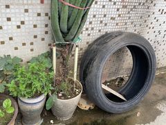 -堂会(天河店)