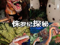 -长鹿旅游休博园