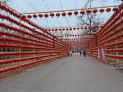 -北京凤凰岭