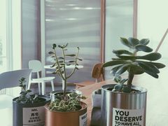 -Green Option(官舍店)
