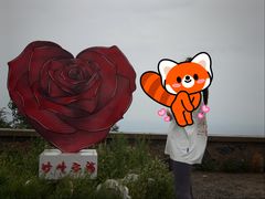 -妙峰山风景名胜区