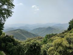 -莫干山风景区