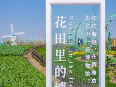 -荷兰花海