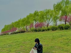 -洨河生态公园