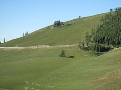 -江布拉克景区怪坡停车场