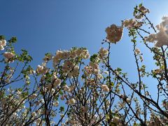 -观澜湖生态运动公社