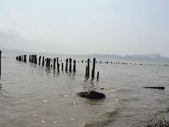 -福田红树林生态公园