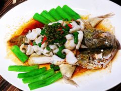 -猪肉婆私房菜(容桂总店)