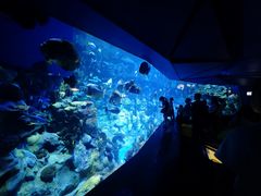 -香港海洋公园