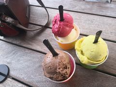 -Patagonia Chocolates(皇后镇店)