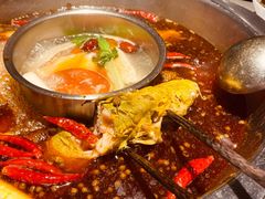 黄辣丁-融泽漁悦三只耳鱼火锅(南郑大道店)