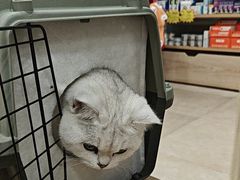 -艾贝尔宠物医院·狂犬免疫点(江山金象城店)