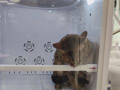 -FAELING PETS美天灵宠物(合生汇店)