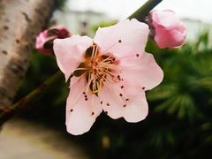 -乌山风景区
